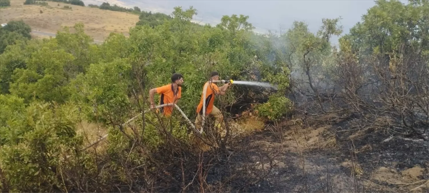 Bingöl'de Orman Yangını Kontrol Altına Alındı