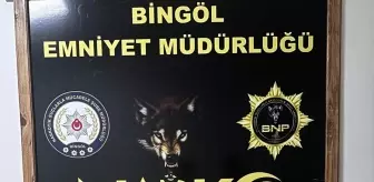 Bingöl'de Uyuşturucu Operasyonunda 3 Tutuklama