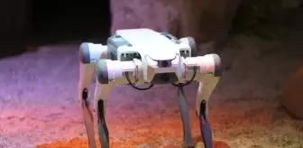 ASELSAN İştiraki BİTES, IDEF 2025'te Robot Köpek Çözümlerini Sergiliyor