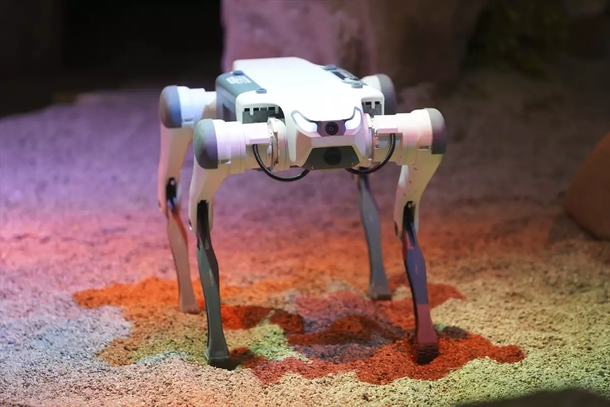 ASELSAN İştiraki BİTES, IDEF 2025'te Robot Köpek Çözümlerini Sergiliyor