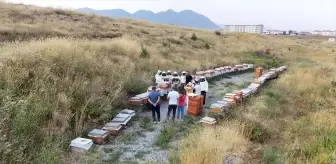 Bitlis Eren Üniversitesi'nde Bal Hasadı Yapıldı