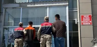 Bitlis'te Düzensiz Göçmen Operasyonu: 5 Göçmen Yakalandı, 2 Tutuklama