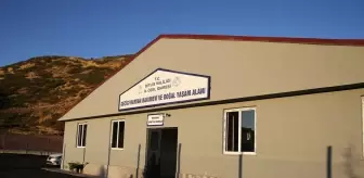 Bitlis'te Sokak Hayvanları için Geçici Bakımevi Açıldı