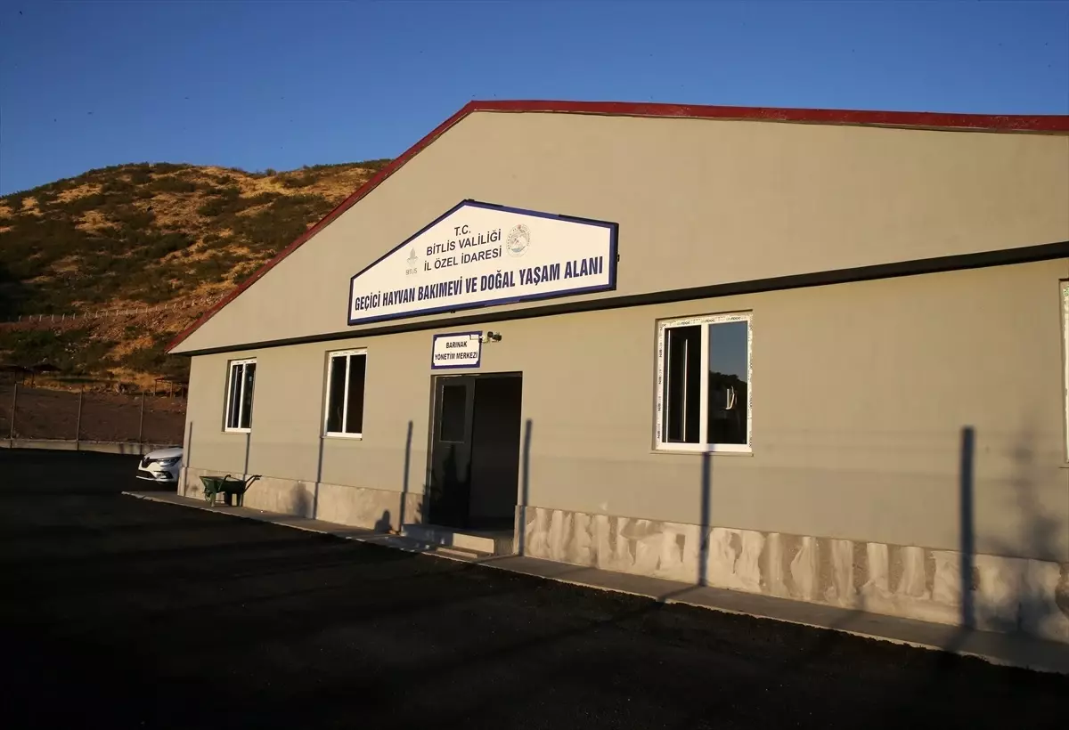 Bitlis'te Sokak Hayvanları için Geçici Bakımevi Açıldı