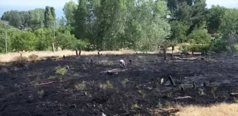 Ahlat'taki Mezarlıkta Çıkan Yangın Kontrol Altına Alındı