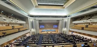 BM İnsan Hakları Yüksek Komiseri Türk'ten İsrail'e Sert Uyarı