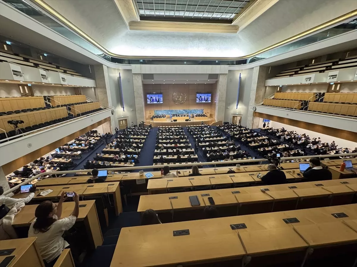 BM İnsan Hakları Yüksek Komiseri Türk'ten İsrail'e Sert Uyarı