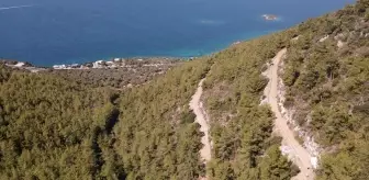Bodrum'da 4 Kuşaktır Arıcılık Yapıyorlar