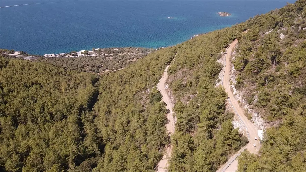 Bodrum'da 4 Kuşaktır Arıcılık Yapıyorlar
