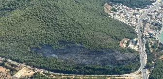 Bodrum'daki Orman Yangını Kontrol Altına Alındı
