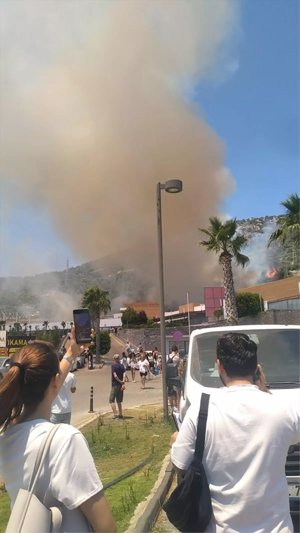 Bodrum'da Orman Yangını: Havadan ve Karadan Mücadele Başlatıldı