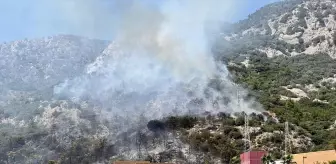 Bodrum'da Orman Yangını Kontrol Altına Alınmaya Çalışılıyor