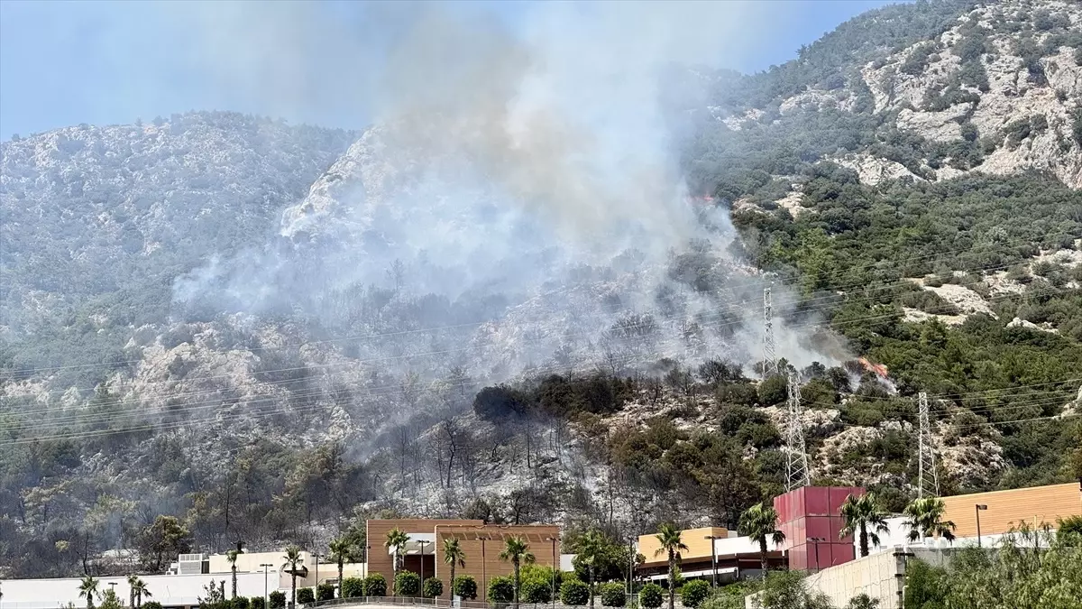 Bodrum'da Orman Yangını Kontrol Altına Alınmaya Çalışılıyor
