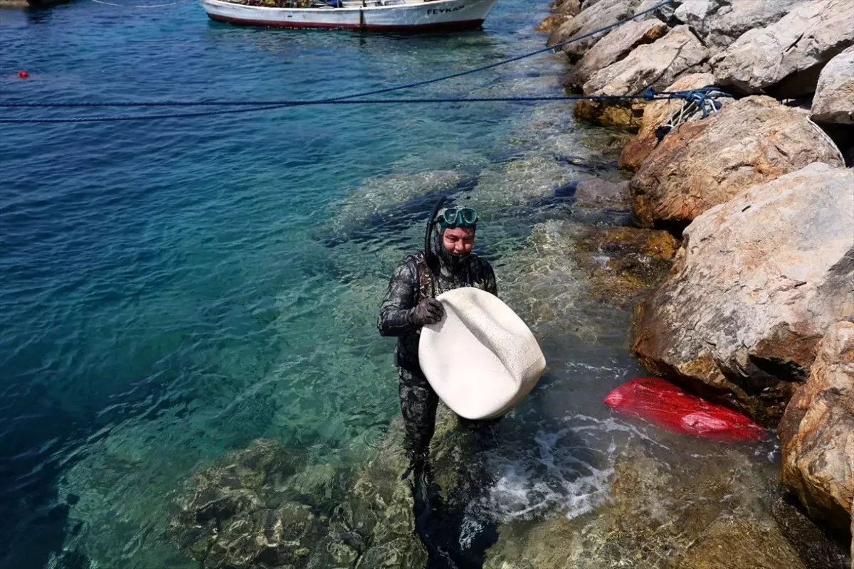 Bodrum'da Deniz Temizliği Etkinliği Gerçekleştirildi