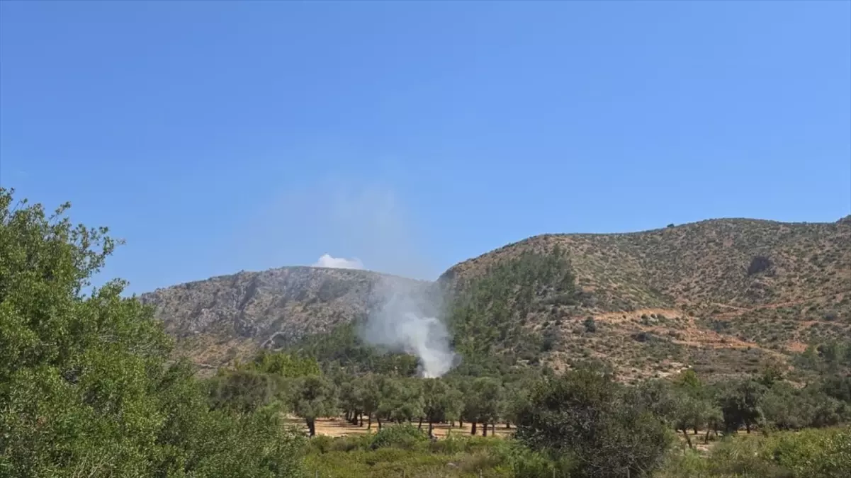 Bodrum'daki Yangın Ormanlık Alana Sıçramadan Söndürüldü