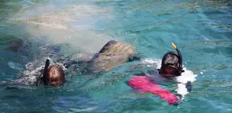 Bodrum'da Deniz Dibi Temizliği: 98 Kilogram Atık Toplandı