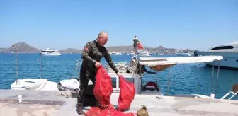 Bodrum'da Gönüllü Dalgıçlarla Deniz Dibi Temizliği Yapıldı
