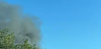 Bodrum'da Depoda Yangın: Büyük Hasar ve Paniğe Neden Oldu