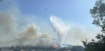 Bodrum'da Tarım Alanına Sıçrayan Yangına Mücadele