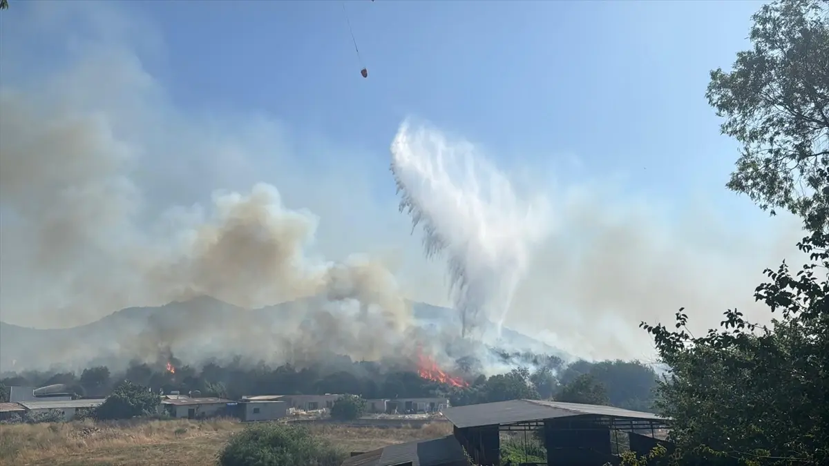 Bodrum'da Tarım Alanına Sıçrayan Yangına Mücadele