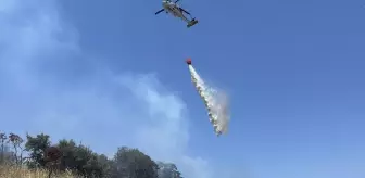 Bodrum'da Tarım Arazisinde Yangın Söndürüldü