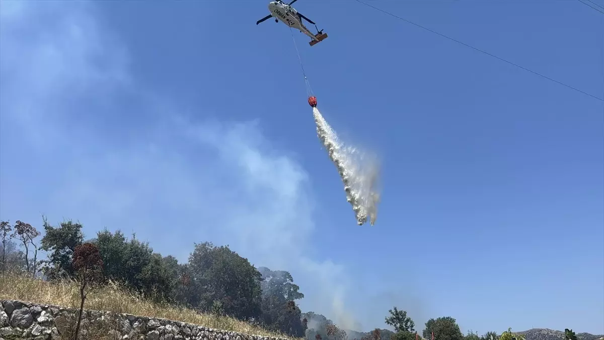 Bodrum'da Tarım Arazisinde Yangın Söndürüldü