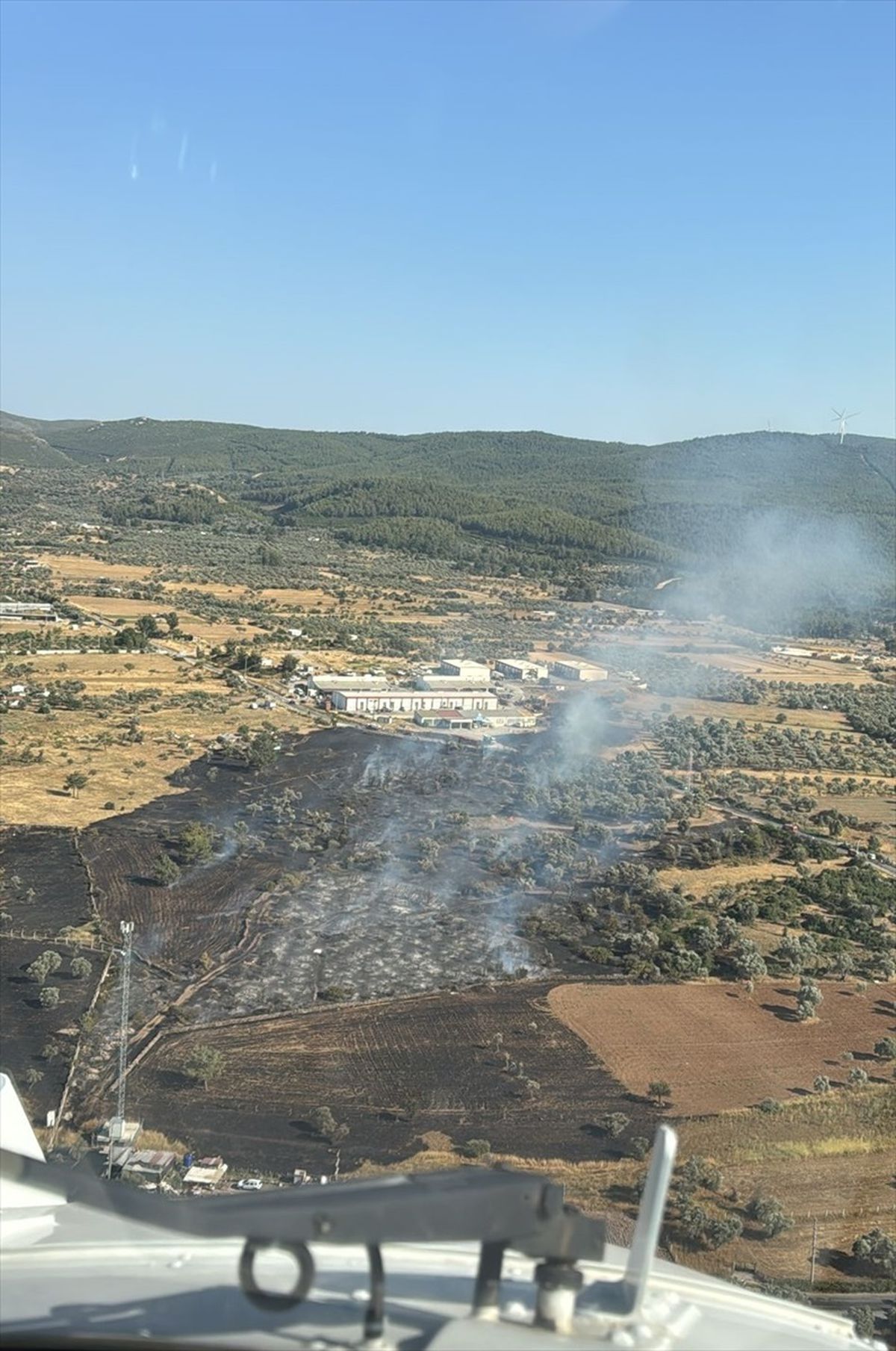 Bodrum'da Tarım Arazisinde Yangın Çıktı