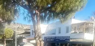 Bodrum'da yol verme meselesi yüzünden çıkan silahlı kavgada 3 kişi yaralandı