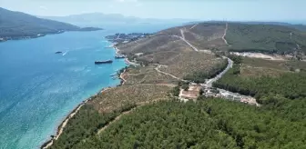 Bodrum'da Orman Yangını Sonrası Ağaçlandırma Çalışmaları Başarıyla Devam Ediyor