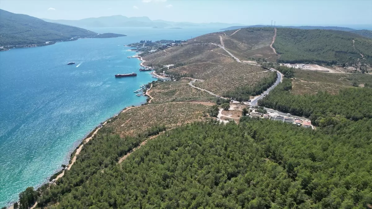 Bodrum'da Orman Yangını Sonrası Ağaçlandırma Çalışmaları Başarıyla Devam Ediyor