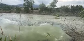 Bolu'da Balık Ölümleri Üzerine İnceleme Başlatıldı