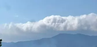 Bolu'da Çalılık Alanda Çıkan Yangın Ormana Sıçramadan Söndürüldü