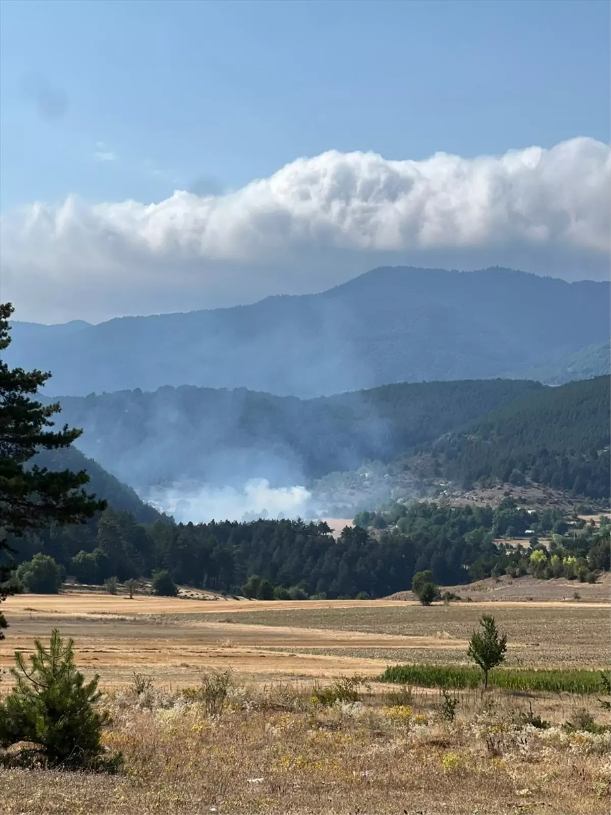 Bolu'da Çalılık Alanda Çıkan Yangın Ormana Sıçramadan Söndürüldü