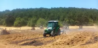 Bolu'da Anız Yangınları Kontrol Altına Alındı