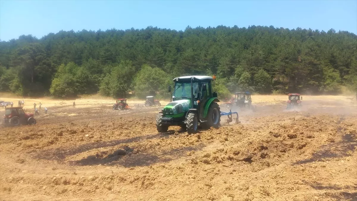 Bolu'da Anız Yangınları Kontrol Altına Alındı