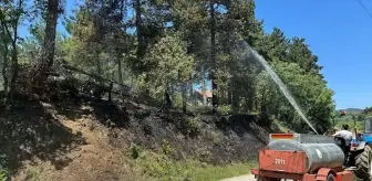 Bolu'da Orman Yangını Erken Müdahale ile Söndürüldü