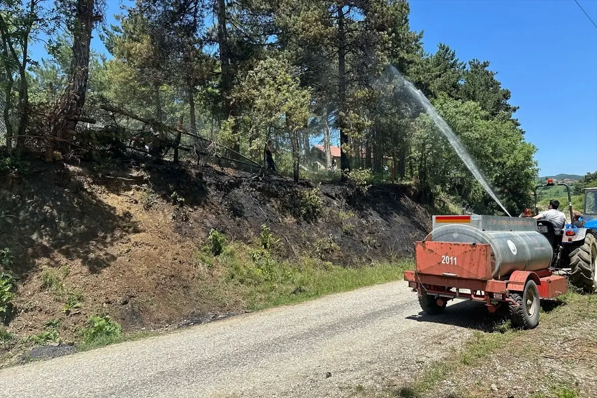 Bolu'da Orman Yangını Erken Müdahale ile Söndürüldü