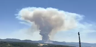 Bolu'da Orman Yangınına Hızlı Müdahale Başlatıldı