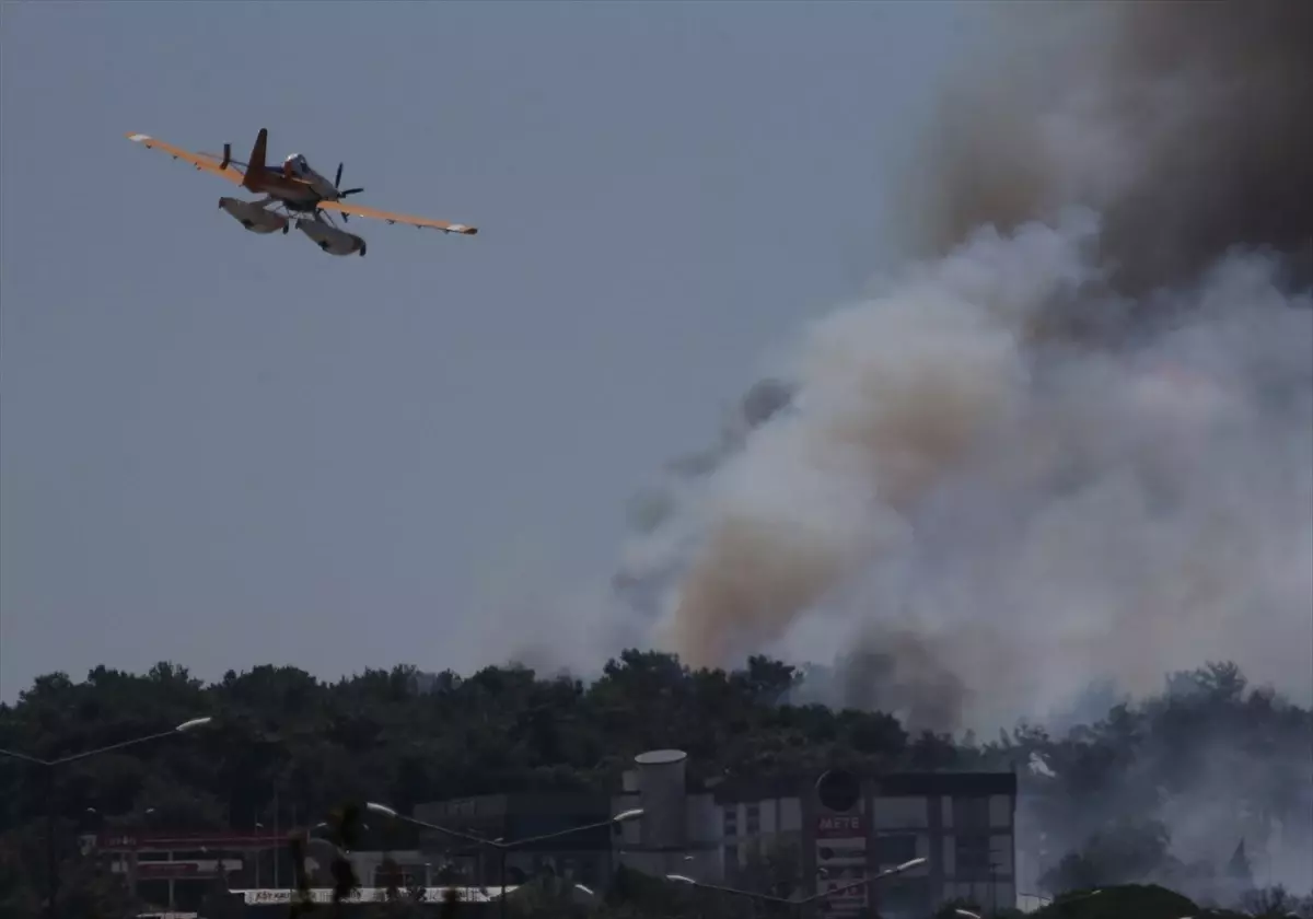 Bolu'da Orman Yangınına Hızla Müdahale Ediliyor