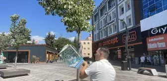 Bolu'da Kaçan Sultan Papağanı 'Mavi' Yakalandı
