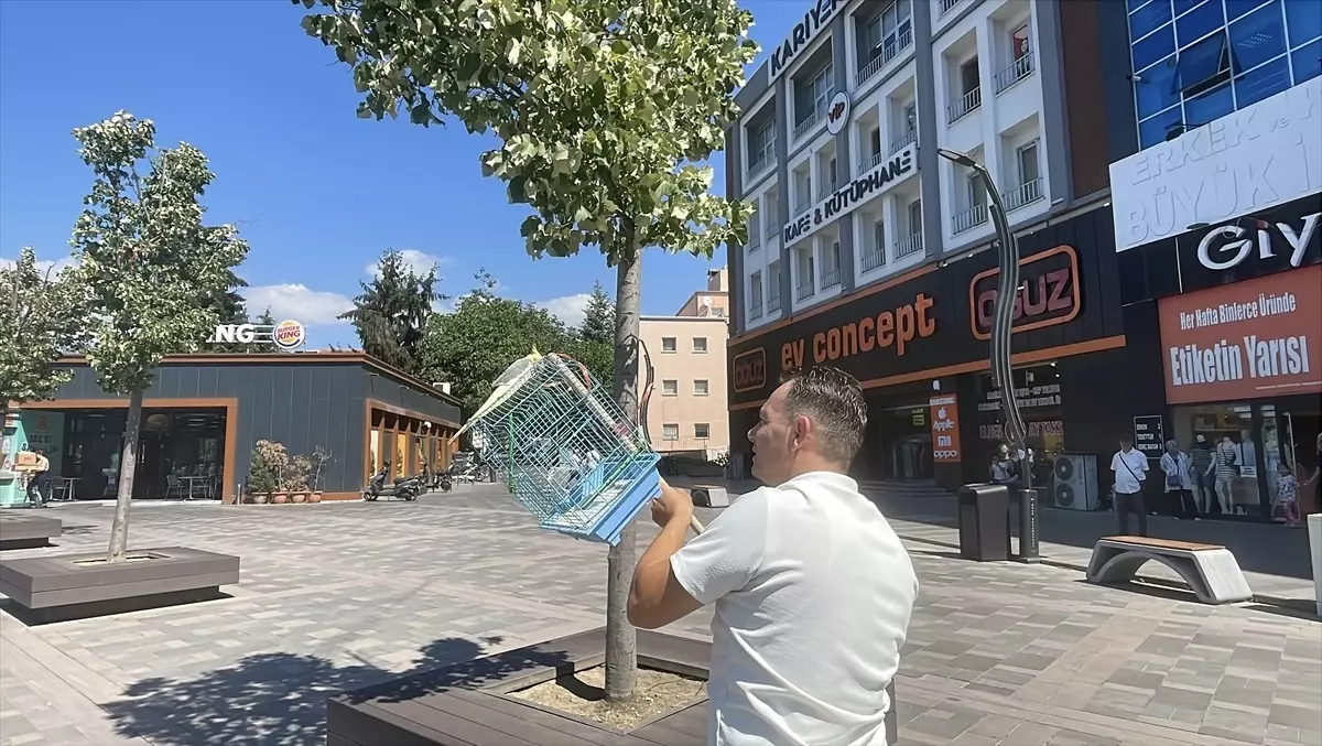 Bolu'da Kaçan Sultan Papağanı 'Mavi' Yakalandı