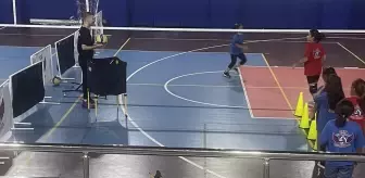 Bolu'daki Sahipsiz Kedi 'Tekir', Voleybol Kursunun Maskotu Oldu
