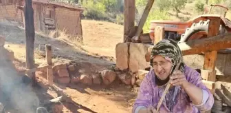 Göynük Köylüleri Geleneksel Yöntemlerle Pekmez Üretiyor