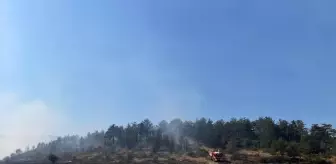 Bolu'daki Orman Yangını Kontrol Altına Alındı