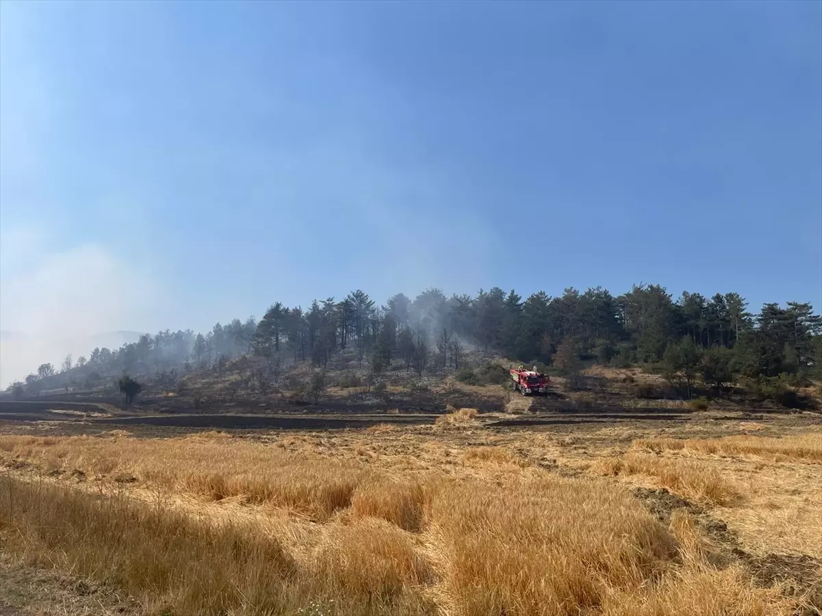 Bolu'daki Orman Yangını Kontrol Altına Alındı
