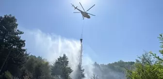 Bolu'da Orman Yangını Büyümeden Kontrol Altına Alındı