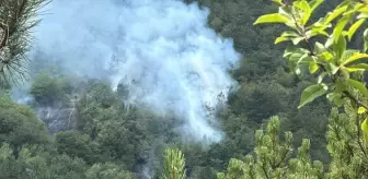 Bolu'da Orman Yangını, Söndürme Çalışmaları Devam Ediyor