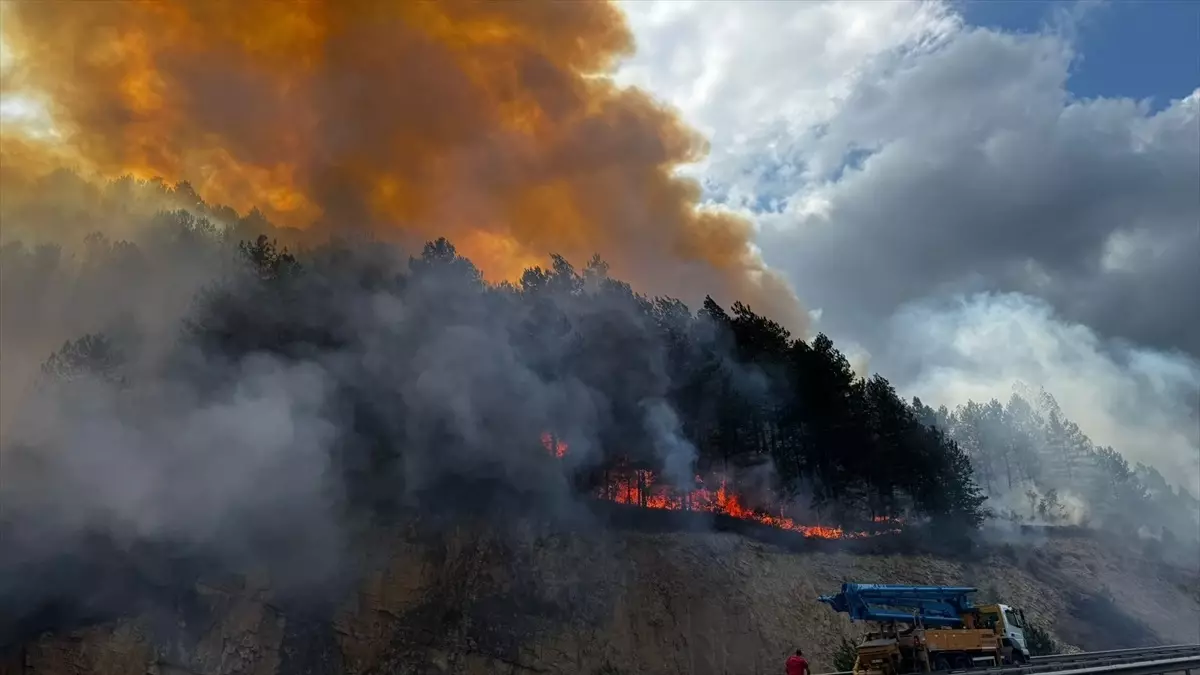 Bolu Mengen'de Orman Yangını Çıktı