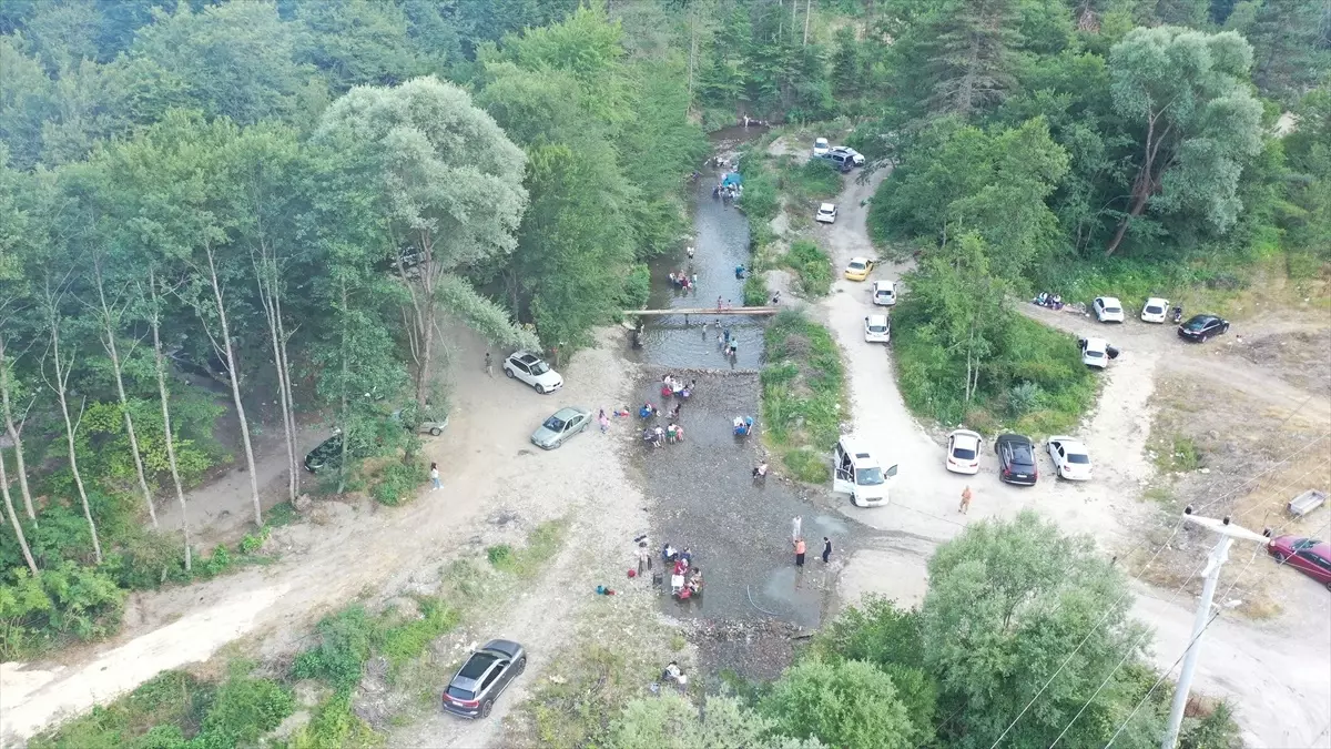Bolu'da Sıcak Havadan Kaçış: Abant Deresi'nde Yoğunluk