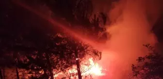 Mudurnu'da Tarım Arazisinde Yangın Kontrol Altına Alındı